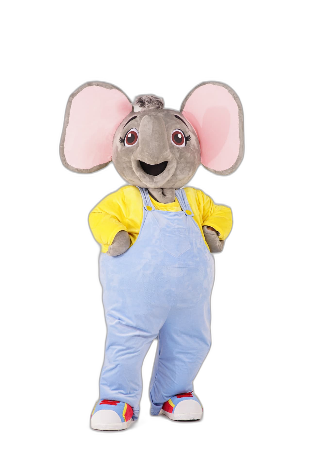 Saris de Torito Aventuras